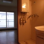 シャンプードレッサー・洗濯機置場