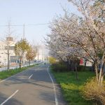 ふれあいの並木道(物件寝室側)24ｍ